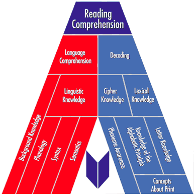 Graphic displaying the 14 Cognitive Elements of Learning to Read