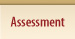 Assessment
